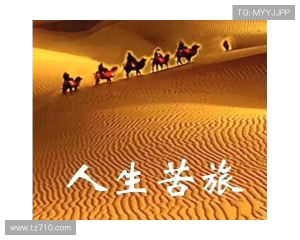 戴立平在冰球与人生多重赛道坚守初心逐梦前行的励志篇章精彩旅程