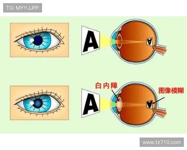 文班亚马解析关键三分球战术强调避免盲目突入人群造成复杂局面